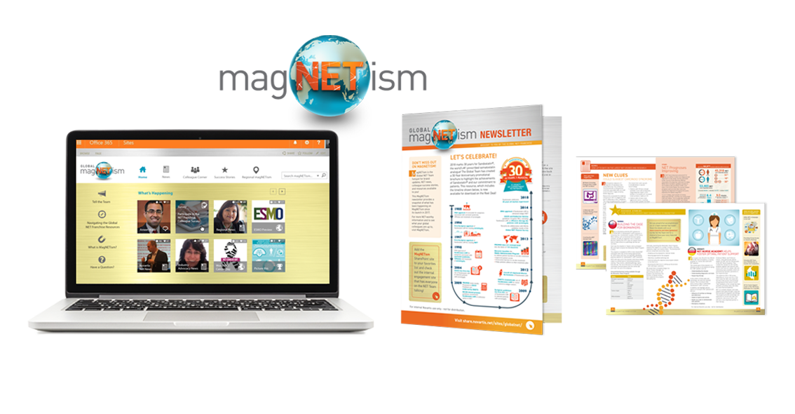Sales_Training_Magnetism_Portfolio_Desktop